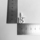 18th Birthday Celebration with Lobster Claw , 925 Sterling Silver  18th Birthday Dangle Charm Landmark Birthday - Fits all Charm Bracelets